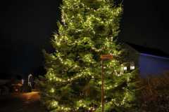 Weihnachtsbaum 2021