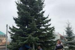 WhatsApp-Image-2021-11-20-at-11.16.05-2