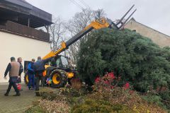 WhatsApp-Image-2021-11-20-at-11.16.05