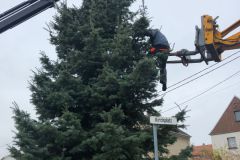 WhatsApp-Image-2021-11-20-at-11.16.06