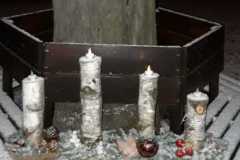 WhatsApp-Image-2021-11-28-at-20.59.53