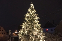 Winter4
