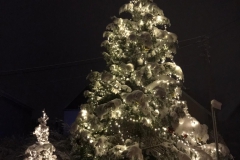 Winter7