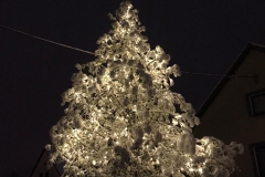 Winter8