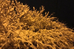 Winter9
